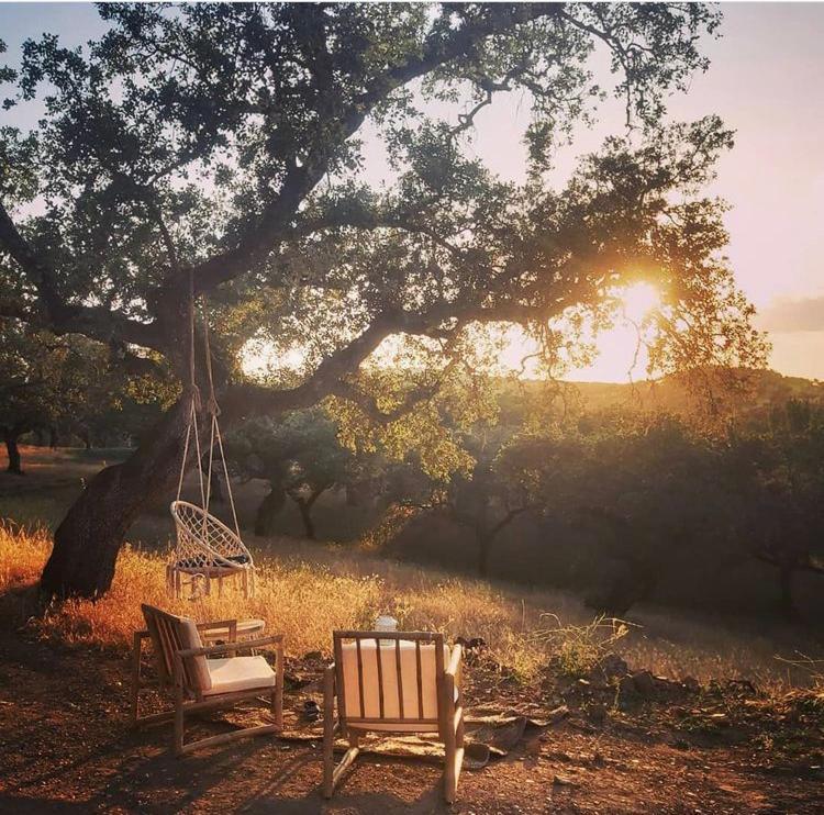 فيلا مونيستيرايوفي La Siesta Del Naranjo المظهر الخارجي الصورة